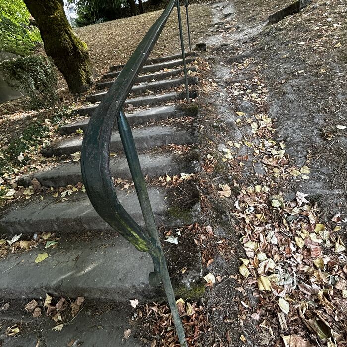 Escalier de pierre moussu montant entre les feuillages.